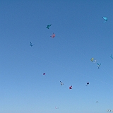 Penvins-festival -2006 -0295